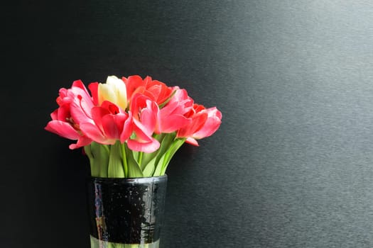 Beautiful flower in black vase on black background