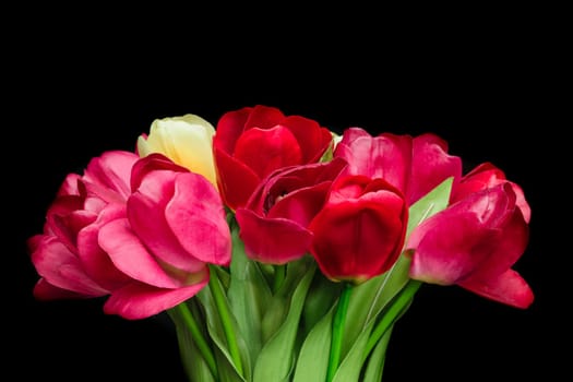 Beautiful flower in black vase on black background