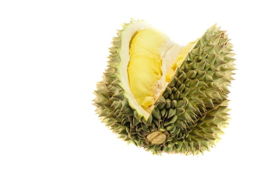 Durian king of fruit isolated on white background