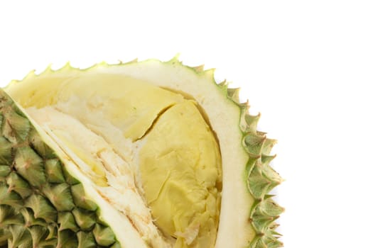 Durian king of fruit isolated on white background