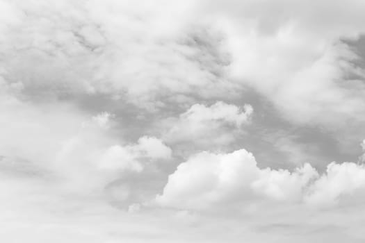 Nature cloudscape with sky and cloud , process in white style