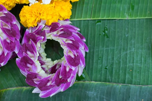Beautiful garland jasmine and orchids and calendula flower on green banana leaf