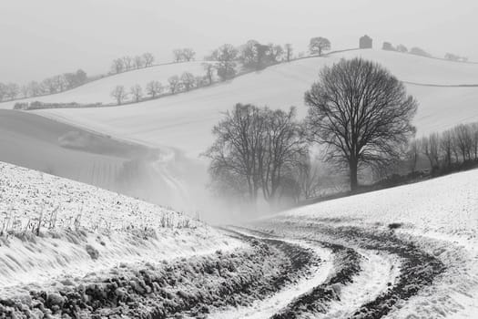 A winding dirt path leads through snow-covered hills, with bare trees and a distant structure beneath a foggy winter sky.