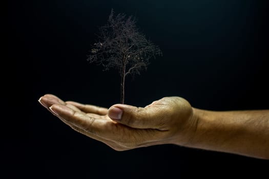 Hand of asia man holding a dead tree is environment helping giving or beg concept on black background dark style