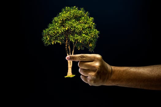 Hand of asia man pinch by finger for pick or taken a tree is environment helping giving or beg concept on black background dark style