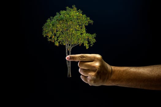 Hand of asia man pinch by finger for pick or taken a tree is environment helping giving or beg concept on black background dark style
