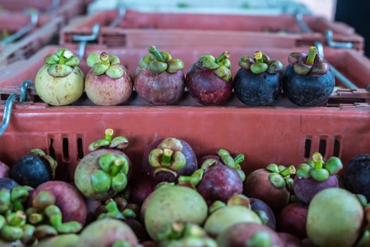 Mangosteen on a wood table is a queen of fruit in Thailand and asia fruit have a sweet can buy at Thai street food and fruit market