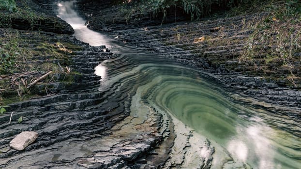 A small stream winds its way through the forest, with patches of green swirling in the clear water. The surrounding trees create a serene, shady atmosphere, perfect for quiet contemplation.