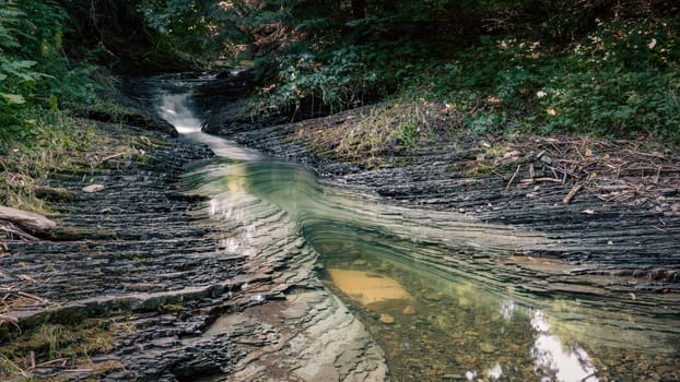 A small stream winds its way through the forest, with patches of green swirling in the clear water. The surrounding trees create a serene, shady atmosphere, perfect for quiet contemplation.