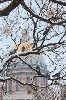a snow-covered New Year's city decorated for the celebration of the new year, pigeons on a tree, the golden dome of St. Isaac's Cathedral. High quality photo