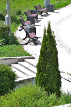 Fragment of boulevard with benches and thuja
