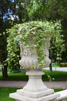 A large decorative stone vase set outdoors. It is decorated with lush green ivy that cascades down the sides. The vase stands on a pedestal in a garden or park with manicured lawns surrounding trees.