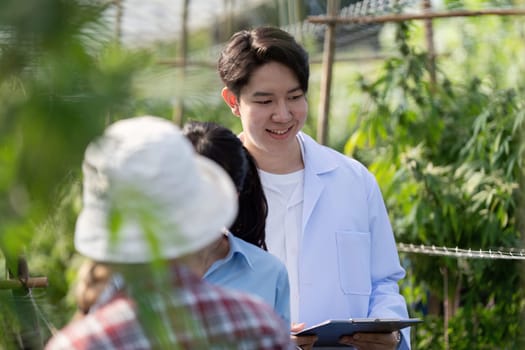 A cheerful researcher analyzing cannabis growth data with colleagues in a vibrant greenhouse setting.