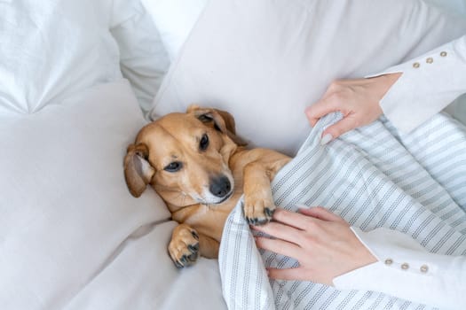 A young beautiful woman in casual clothes hugs and pets her beloved dog sitting in the bedroom of her cozy country house. Animal communication concept