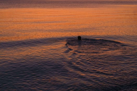 Calm on sea in early morning at sunrise, close-up, tourist concept of vacation by the sea