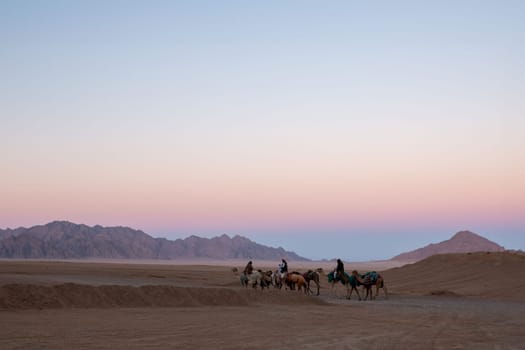 A caravan with camels goes through the desert.