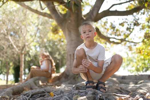 Young boy crouching on tree roots in a sunlit park
