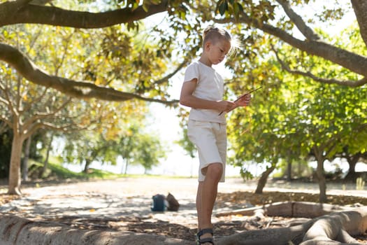 Boy focused on tablet under tree in sunny park