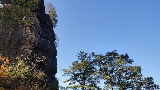 green nature summer autumn day rock forest travel trees landscape park background blue sky . High quality photo