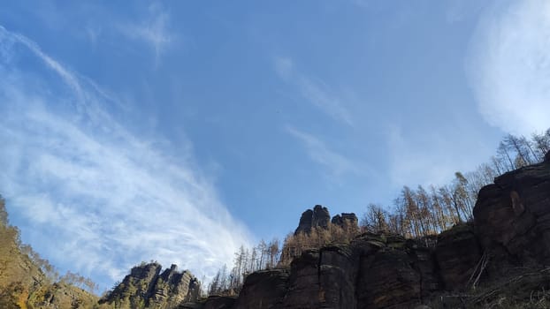 green nature summer autumn day rock forest travel trees landscape park background blue sky . High quality photo