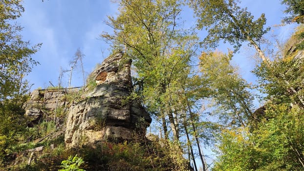 green nature summer autumn day rock forest travel trees landscape park background blue sky . High quality photo