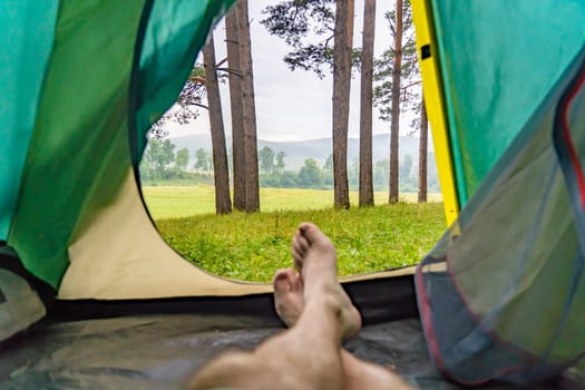 Peaceful camper relaxing inside tent, overlooking verdant meadow and pine woodland landscape
