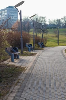 Shot of the benches in the park