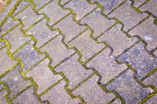 Shot of the old interlock bricks with grass between them