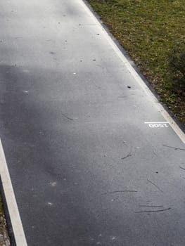 Jogging, walking, cycling path in the park