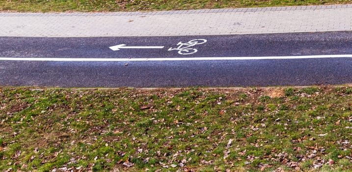 Jogging, walking, cycling path in the park
