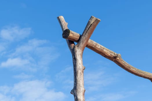 Concept shot of the wooden logs
