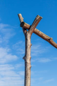Concept shot of the wooden logs