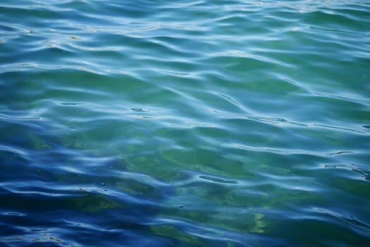 Sunlight reflects on the turquoise surface of clear water near shore.