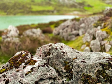 Serene rocky landscape with moss covered boulders by a lush green lake.