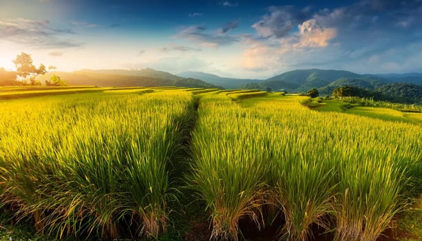 field of rice plants background, AI generated image