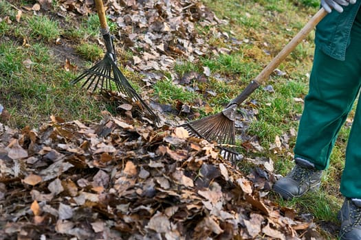 the action of making something clean, especially the inside of a house