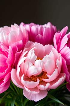 pink peonies flowers nature plants green leaves beautiful bouquet. High quality illustration generated ai alt