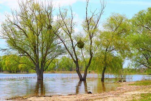 The flood of the river during the melting of snow and the opening of the ice in the springSpring flood