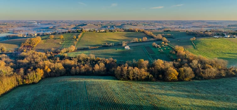 France, Gironde, Langoiran, Aerial view of Premieres Cotes de Bordeaux vineyard in Entre-Deux-Mers, Bordeaux vineyard at sunrise with fog over the Garonne river. High quality photo