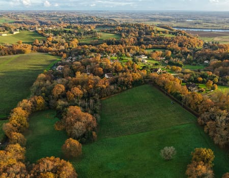 France, Gironde, Tabanac, Aerial view of the vineyard and wooded areas of Chateau le Pic in the Bordeaux vineyards at sunset. High quality photo