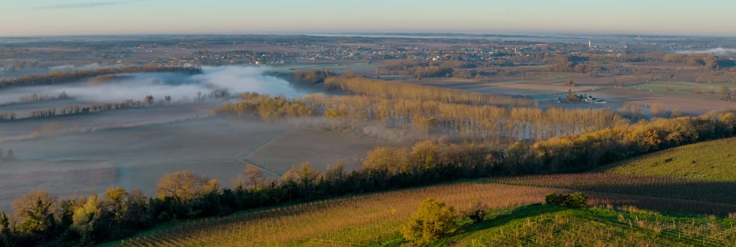 France, Gironde, Langoiran, Aerial view of Premieres Cotes de Bordeaux vineyard in Entre-Deux-Mers, Bordeaux vineyard at sunrise with fog over the Garonne river. High quality photo