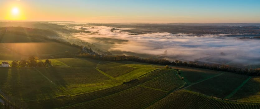 France, Gironde, Langoiran, Aerial view of Premieres Cotes de Bordeaux vineyard in Entre-Deux-Mers, Bordeaux vineyard at sunrise with fog over the Garonne river. High quality photo