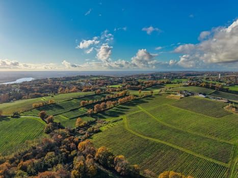 France, Gironde, Tabanac, Aerial view of the vineyard and wooded areas of Chateau le Pic in the Bordeaux vineyards at sunset. High quality photo