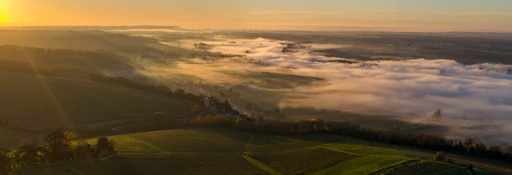 France, Gironde, Langoiran, Aerial view of Premieres Cotes de Bordeaux vineyard in Entre-Deux-Mers, Bordeaux vineyard at sunrise with fog over the Garonne river. High quality photo