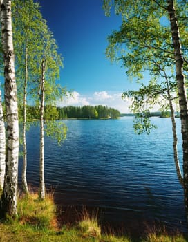 finnish lake panorama with birch trees, AI generated image
