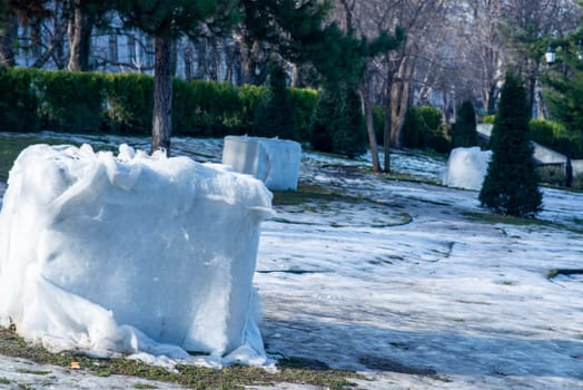 winter in the city park, grass is visible under the snow. artificial snow in the form of huge white cubes lies on the ground. evergreen cypresses grow around. snow melts in the sun