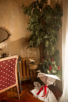 There is a picture with a white parrot hanging in the room. The picture is vintage, the parrot is white..