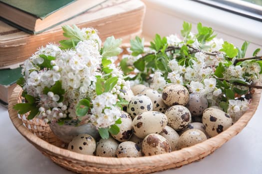 Arranging small quail eggs and white hawthorn flowers in a wicker basket, capturing the freshness of spring, with old books in the background adding nostalgia,