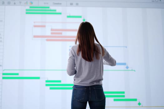 The Digital Project Manager Planning Schedule using Gantt Software Tool