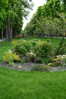 Kharkov, Ukraine, 14 May 2024. A lush, well-maintained garden with a variety of plants and shrubs. The garden is surrounded by vibrant green grass and bordered by a row of tall trees on the left. The scene suggests a peaceful and natural environment, likely in a park or large garden area. Paths can be seen alongside the garden, indicating areas for walking or strolling